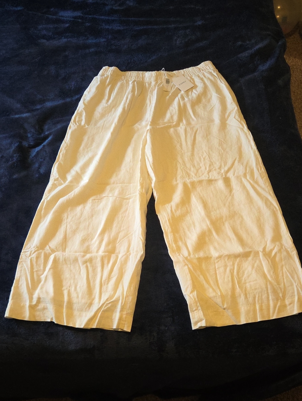 Scout Linen Pant In White XL